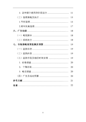 創(chuàng)維彩電廣西市場年度營銷策劃方案